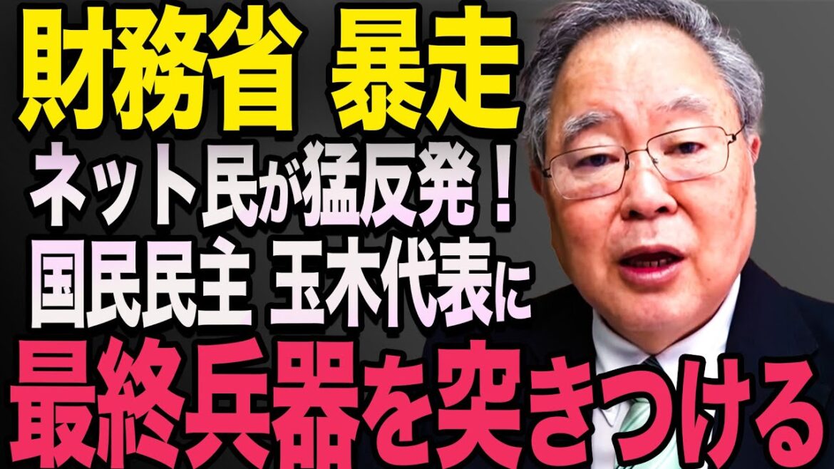 【衝撃】財務省、国民民主に「最終兵器」を投入..高橋洋一　石破茂　小泉進次郎　高市早苗