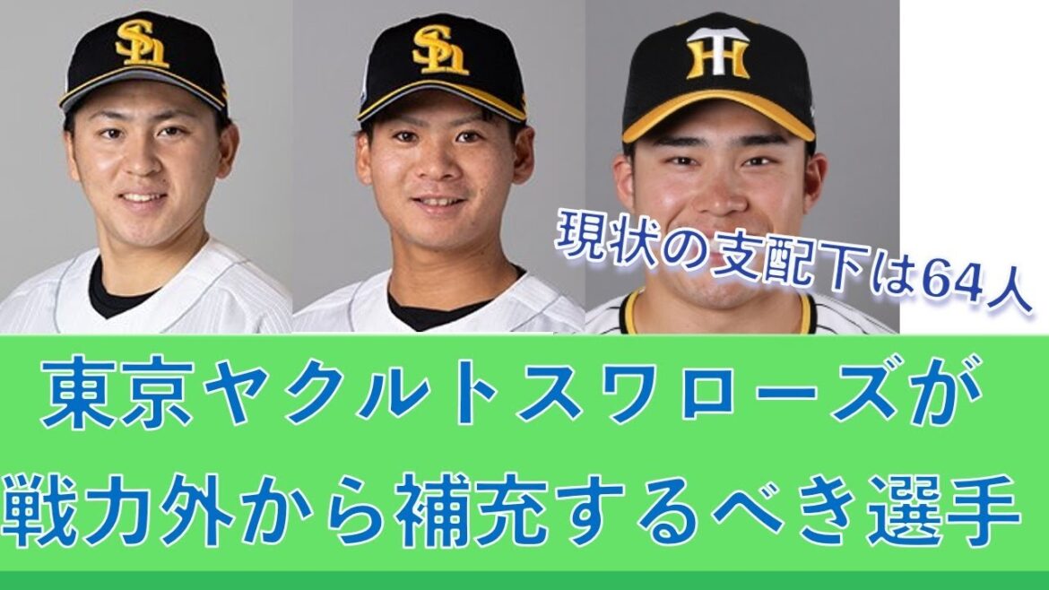 東京ヤクルトスワローズが戦力外から補充するべき選手 20241107