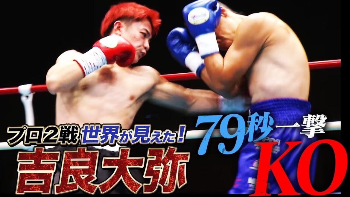 【全部見せ！】高速！左ボディ一撃KO！吉良大弥のクレイジーダイヤモンド炸裂
