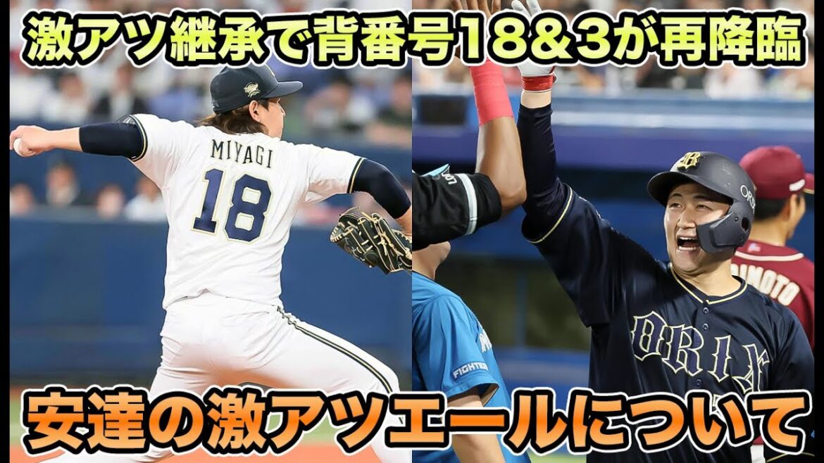 【背番号18＆3が再降臨】オリックスバファローズ2024年の継承がヤバすぎる!! 激アツすぎる背番号変更を徹底解説【オリックスバファローズ】