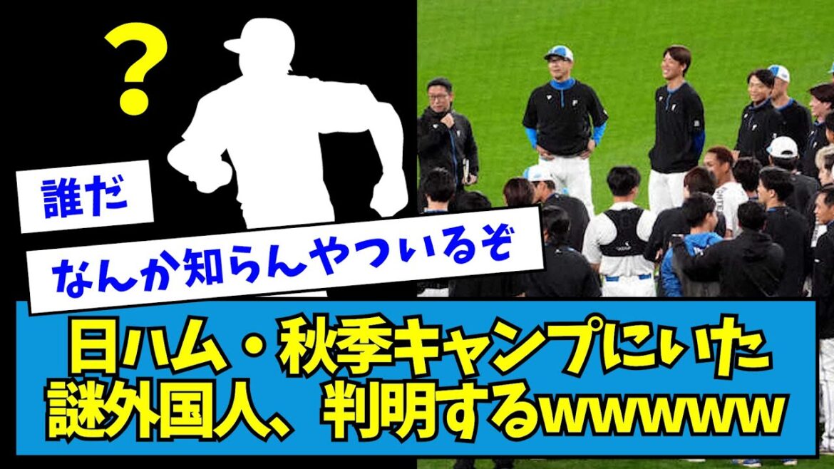 【真相】日ハム・秋季キャンプにいた謎外国人、判明するwwwww【なんJ反応】