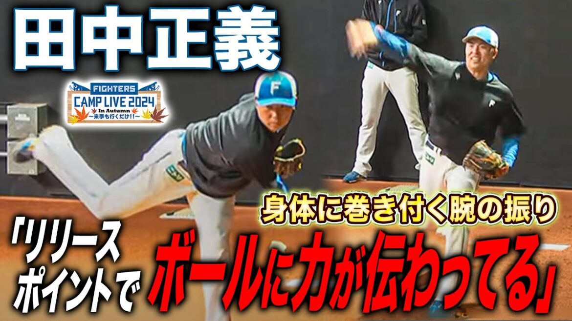 田中正義ブルペン投球 力感なく鋭い球を投げ込むフォームに大絶賛<11/8ファイターズ秋季キャンプ2024> 田中正義ブルペン投球 力感なく鋭い球を投げ込むフォームに大絶賛<11/8ファイターズ秋季キャンプ2024>