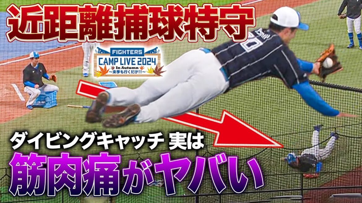 実はかなり痛い⁉軽いダイビングキャッチでも翌日は筋肉痛に…近距離ノック練習<11/8ファイターズ秋季キャンプ2024> 実はかなり痛い⁉軽いダイビングキャッチでも翌日は筋肉痛に…近距離ノック練習<11/8ファイターズ秋季キャンプ2024>