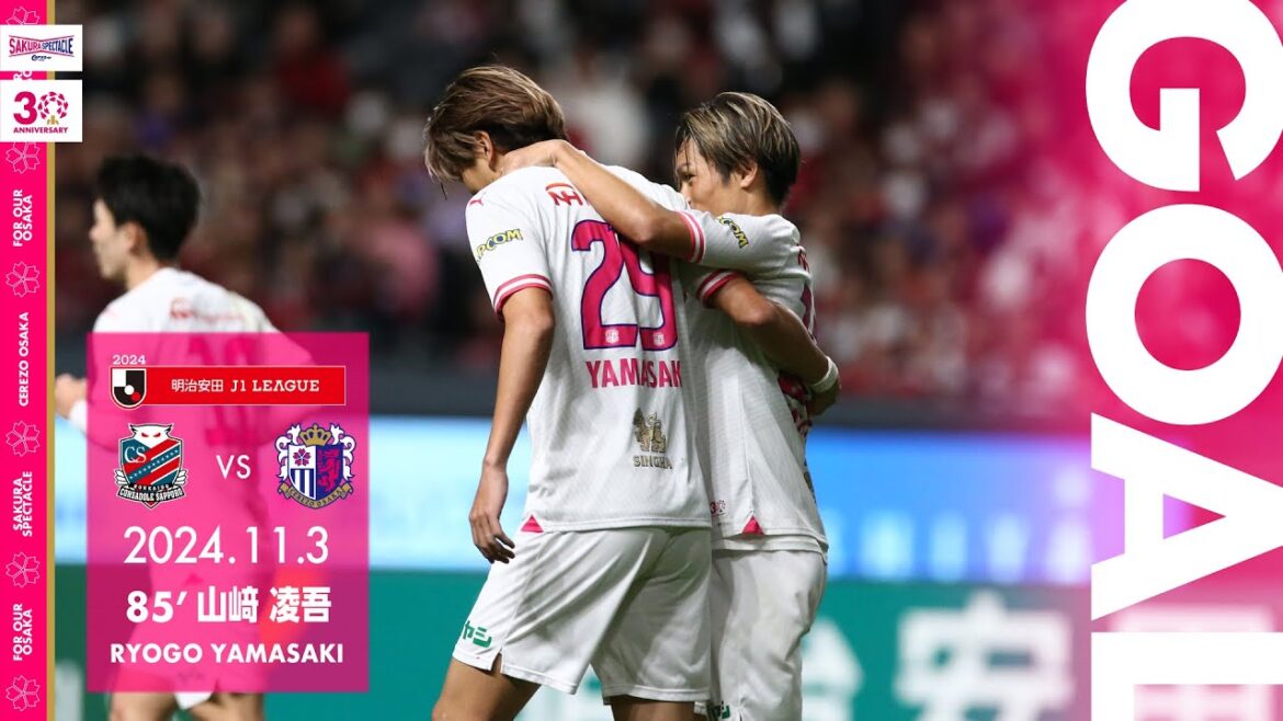 【GOALハイライト】85’ 山﨑凌吾（2024明治安田J1リーグ 第35節）