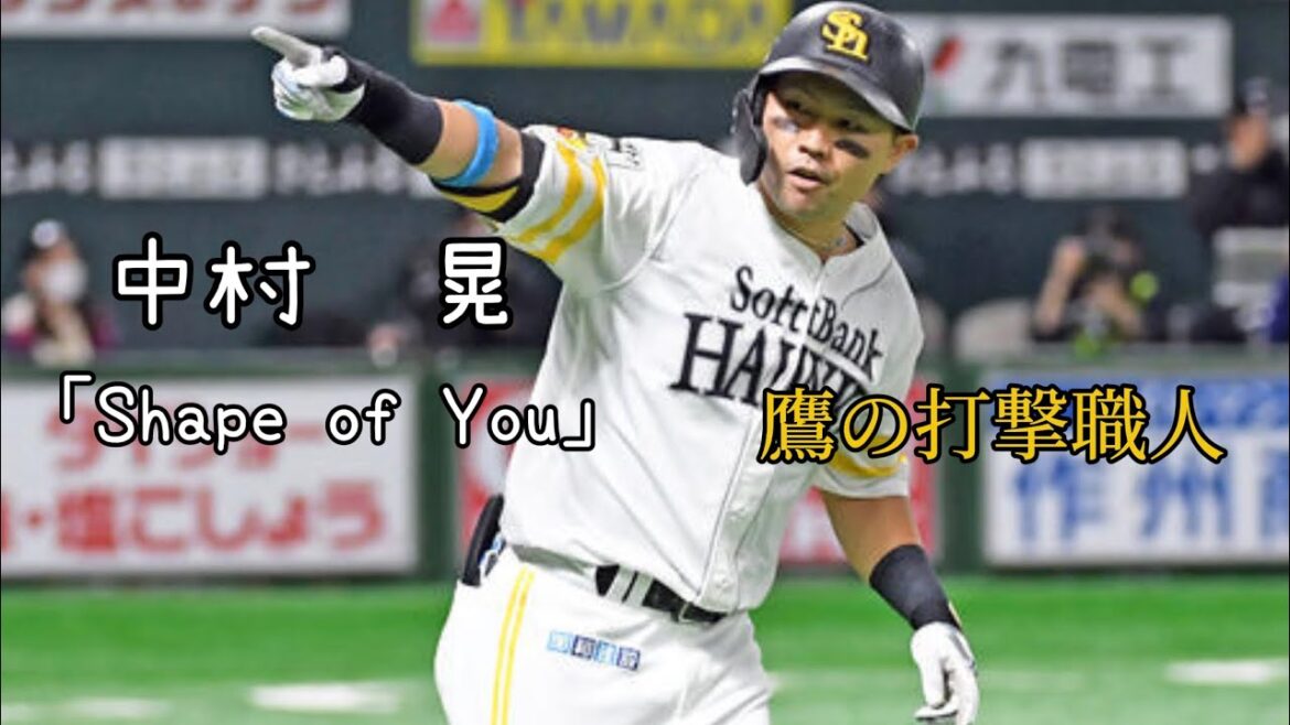 [pv] 中村晃　Shape of You