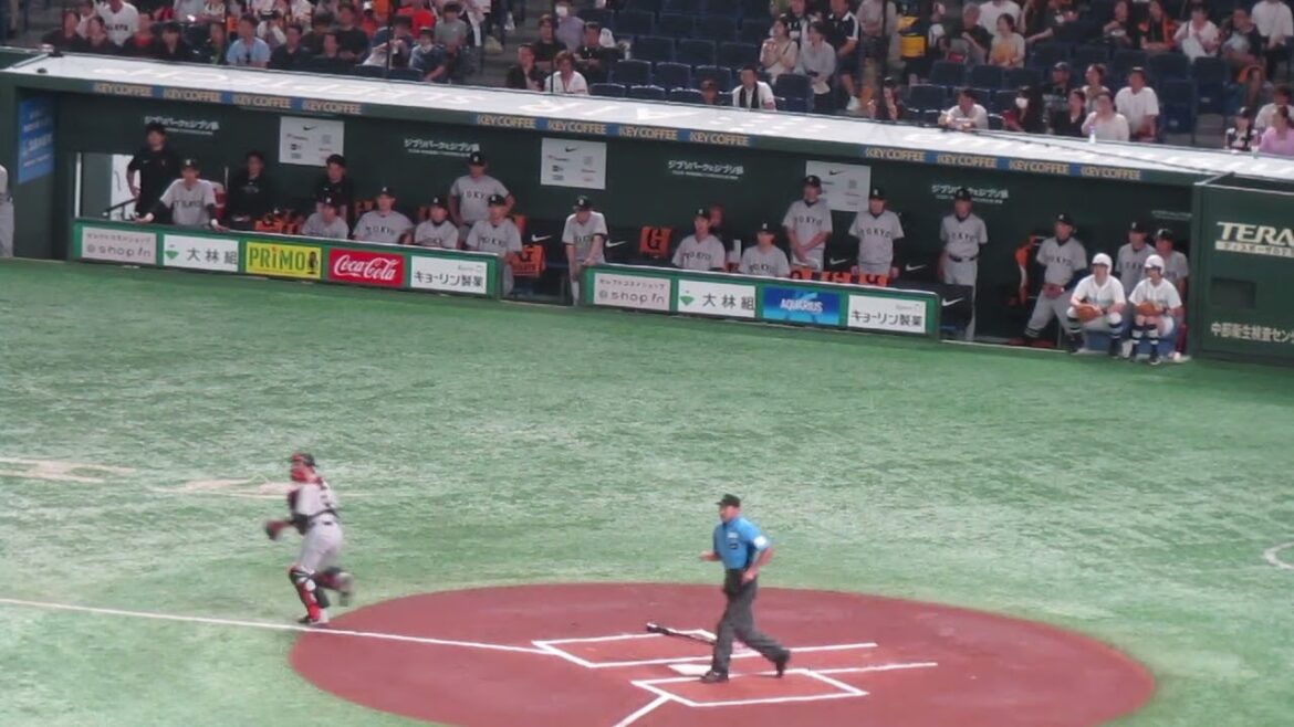 西川遥輝がいきなりセーフティバント！最初アウト判定で喜ぶ巨人のベンチ（2024年6月22日 読売ジャイアンツ対ヤクルトスワローズ）