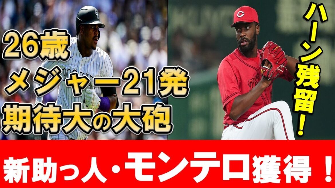 【新助っ人】若き大砲モンテロ獲得！メジャー通算26発ドミニカンが活躍できるか考察！ハーンは残留！来季も勝ちパで！【広島東洋カープ】
