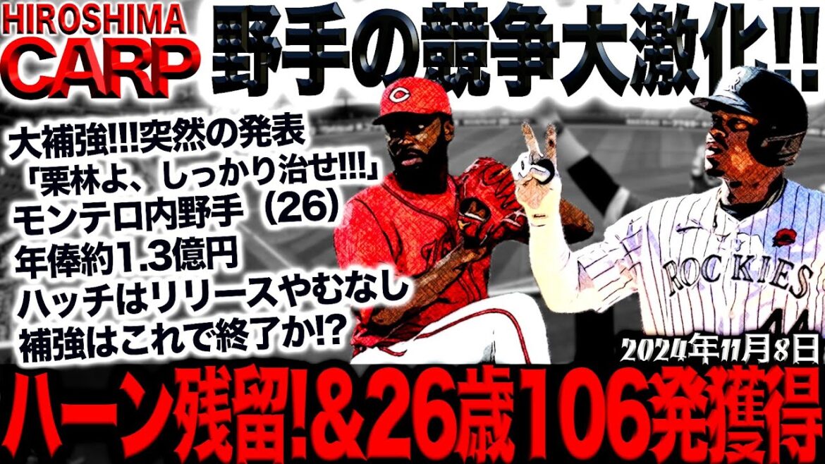 久々のポジティブ動画！【広島カープ】期待する若手4選＆新外国人選手発表！(2024/11/8)