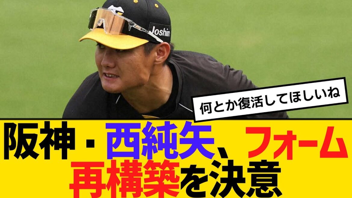 阪神・西純矢、フォーム再構築を決意　大改造へ　【ネットの反応】【反応集】