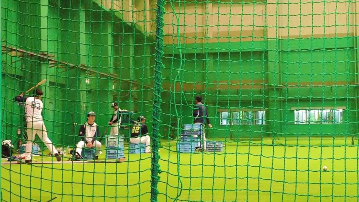 東京ヤクルトスワローズ松山秋季キャンプ2024 バッティング練習 11/9松山中央公園屋内運動場 東京ヤクルトスワローズ松山秋季キャンプ2024 バッティング練習 11/9松山中央公園屋内運動場
