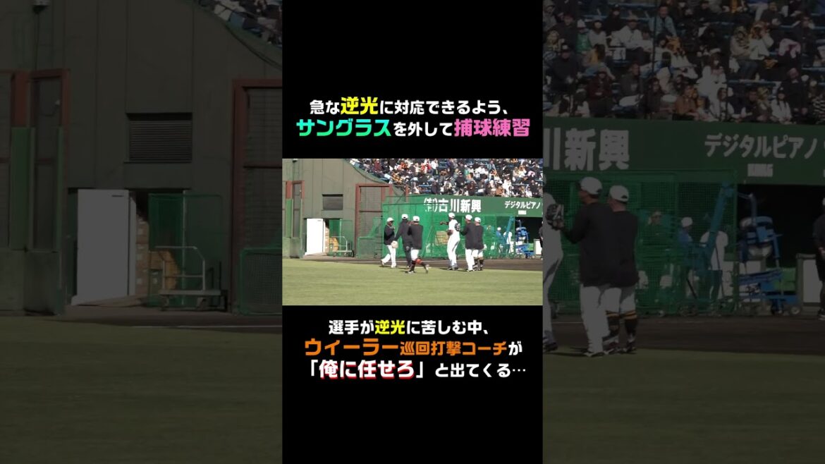ウィーラー打撃巡回コーチに選手が総ツッコミ #shorts