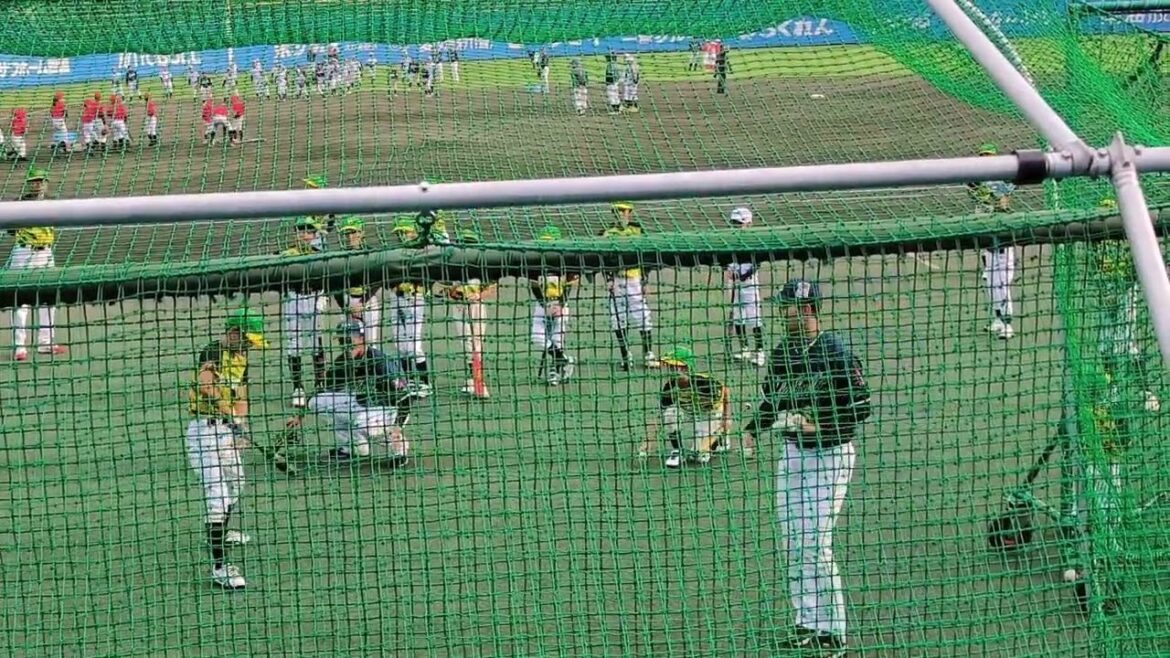 東京ヤクルトスワローズ松山秋季キャンプ2024 野球教室 11/9坊っちゃんスタジアム2 東京ヤクルトスワローズ松山秋季キャンプ2024 野球教室 11/9坊っちゃんスタジアム2