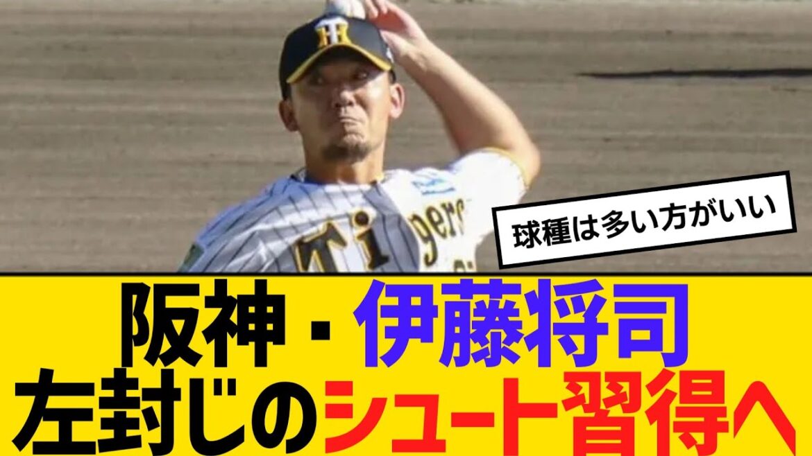 阪神・伊藤将司が左封じのシュート習得へ　【ネットの反応】【反応集】