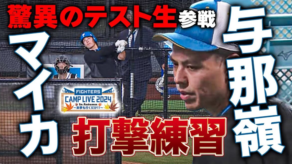【※獲得見送】米独立リーグ24HR日本に所縁のあるマイカ与那嶺 打撃練習参戦＜11/9ファイターズ秋季キャンプ2024＞