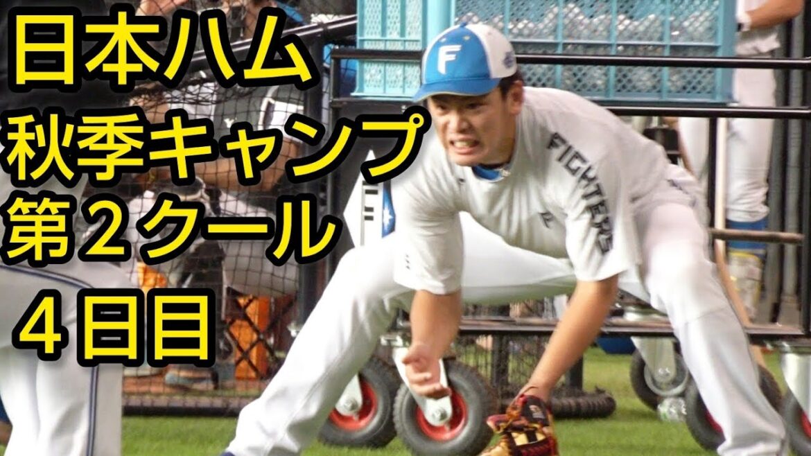 日本ハム秋季キャンプ第２クール４日目2024.11.9