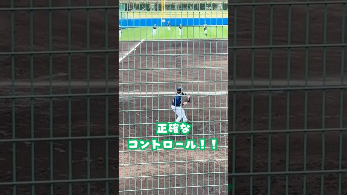 ヤクルト 濱田太貴 選手 遠投のコントロール⚾✨#shorts #野球 #プロ野球 #swallows #スワローズ #キャッチボール #濱田太貴