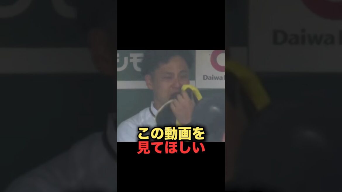 この動画を見てほしい　#野球解説 #阪神タイガース #大竹耕太郎