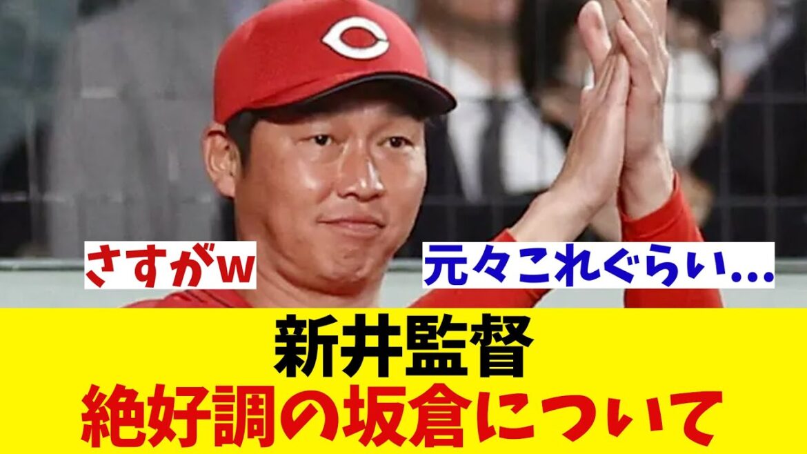 広島・新井監督　絶好調の坂倉について・・・【野球情報】【2ch 5ch】【なんJ なんG反応】【野球スレ】