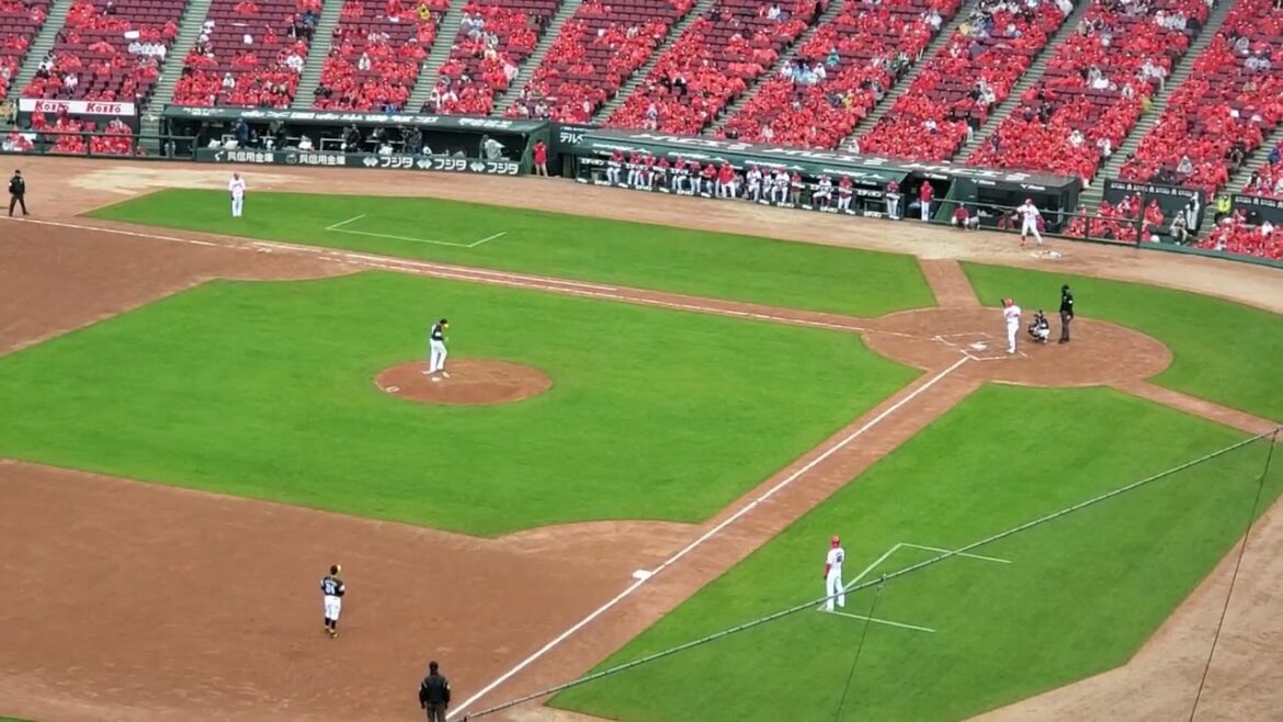 20240324　打者は石原貴規捕手！【野手汎用 応援歌(ﾌﾟﾛ入り5年目以上)】広島東洋ｶｰﾌﾟ7回ｳﾗ@MAZDA Zoom-Zoom ｽﾀｼﾞｱﾑ広島･ﾋﾞｼﾞﾀｰﾊﾟﾌｫｰﾏﾝｽ ｵｰﾌﾟﾝ戦