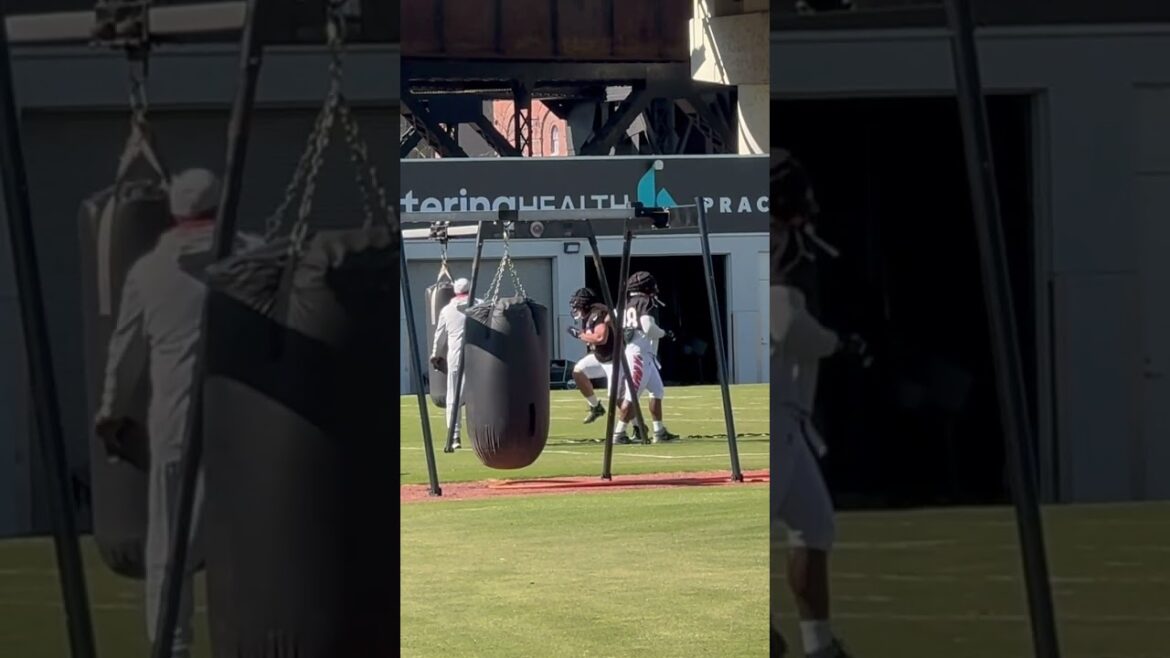 Bengals D line going through drills Thursday