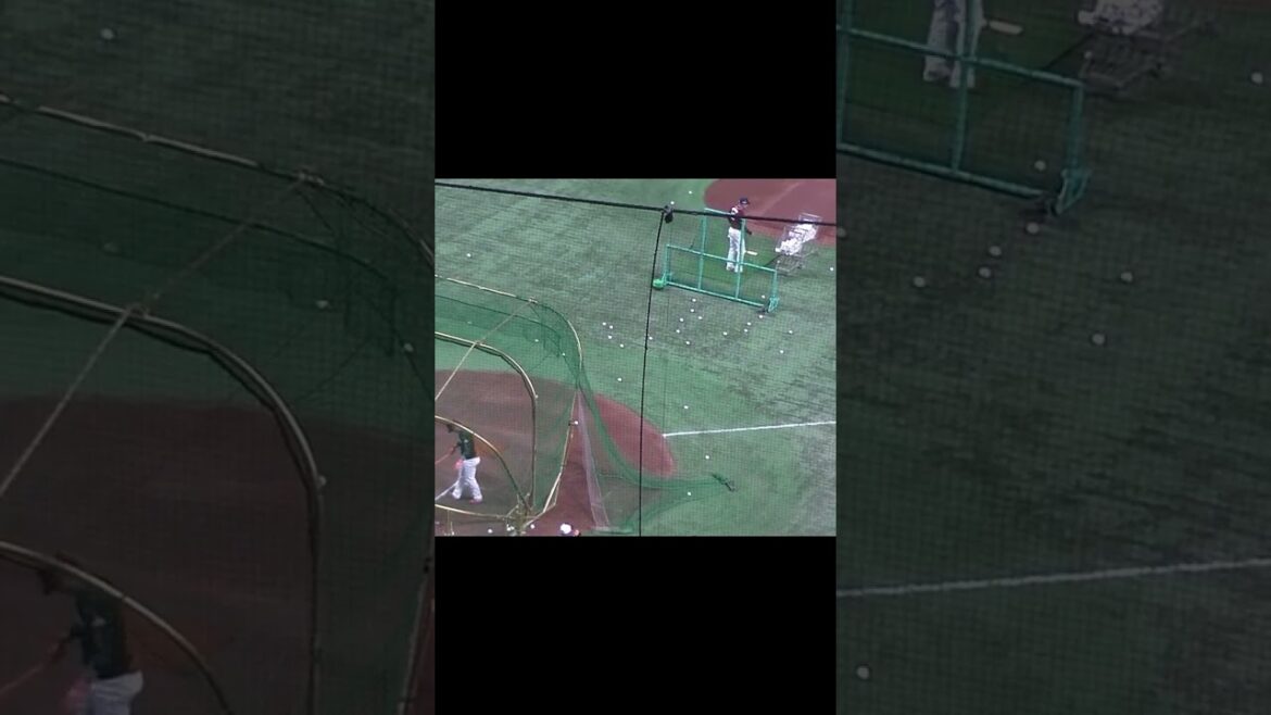 【楽天】渡邊佳明のフリーバッティング＜読売ジャイアンツ対 楽天イーグルス 2024年3月22日 試合前＞