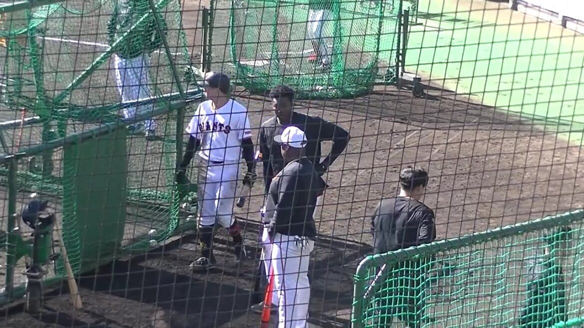 【ジャイアンツ】ティマがウィーラーコーチと話し合い【巨人 秋季練習 2024年11月7日】 #読売ジャイアンツ