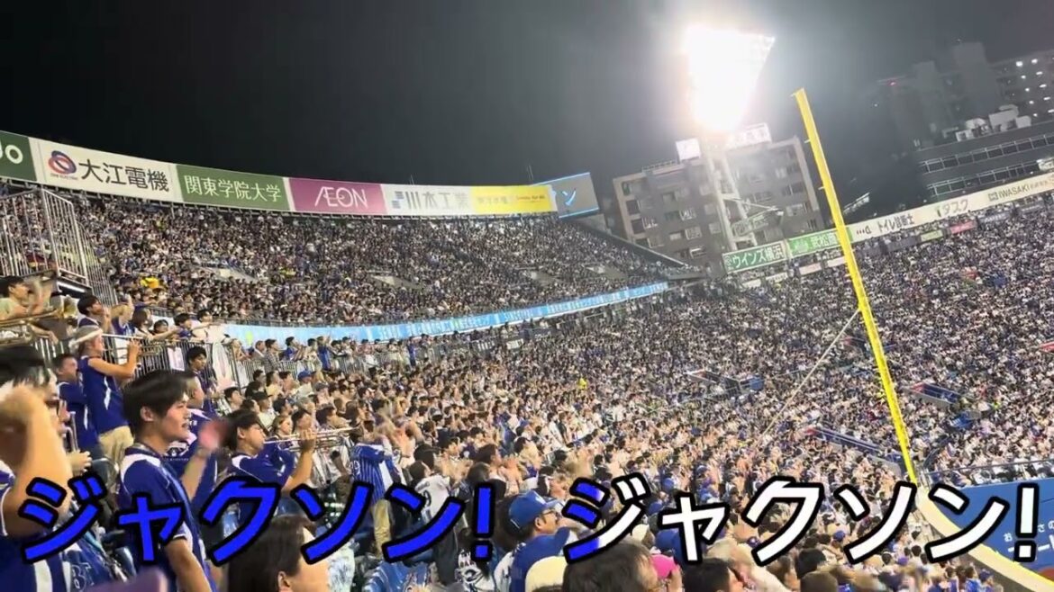 【横浜DeNAベイスターズ】外国人投手汎用応援歌