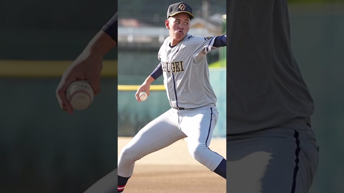 広島東洋カープドラフト指名選手解説2024年　ドラフト5位　菊池ハルン #carp #shorts #ドラフト会議