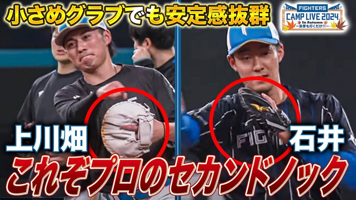 【安定感】ずっと見ていられる名手・上川畑大悟&石井一成セカンドノック解説<11/8ファイターズ秋季キャンプ2024> 【安定感】ずっと見ていられる名手・上川畑大悟&石井一成セカンドノック解説<11/8ファイターズ秋季キャンプ2024>