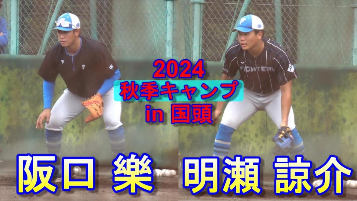 【国頭秋季キャンプ2024】明瀬&坂口・・・守備練習!~北海道日本ハムファイターズ~ 【国頭秋季キャンプ2024】明瀬&坂口・・・守備練習!~北海道日本ハムファイターズ~