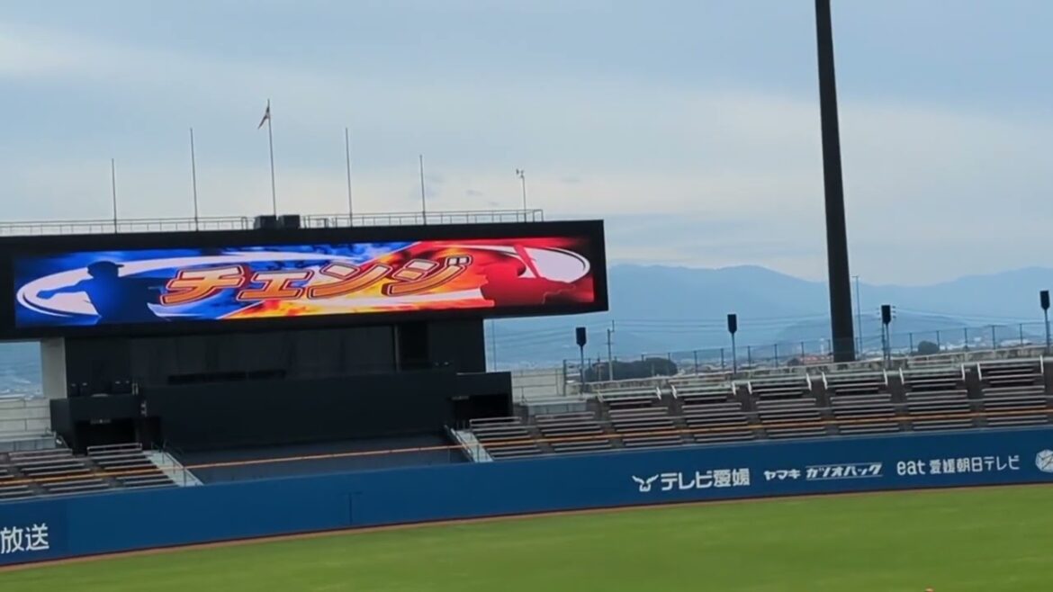 東京ヤクルトスワローズ松山秋季キャンプ2024/11/10【愛媛MP練習試合3】2回・3回表裏
