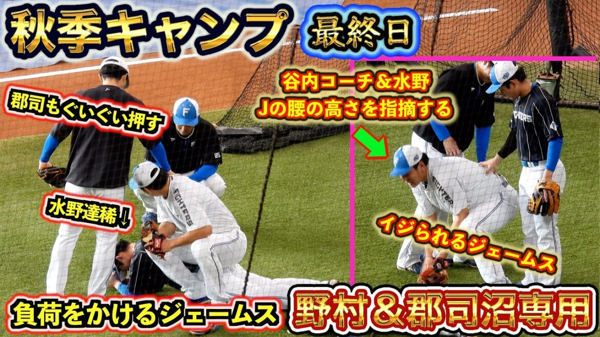 【20241110】キャンプ最終日　野村＆郡司沼専用（アップや守備・打撃練習）