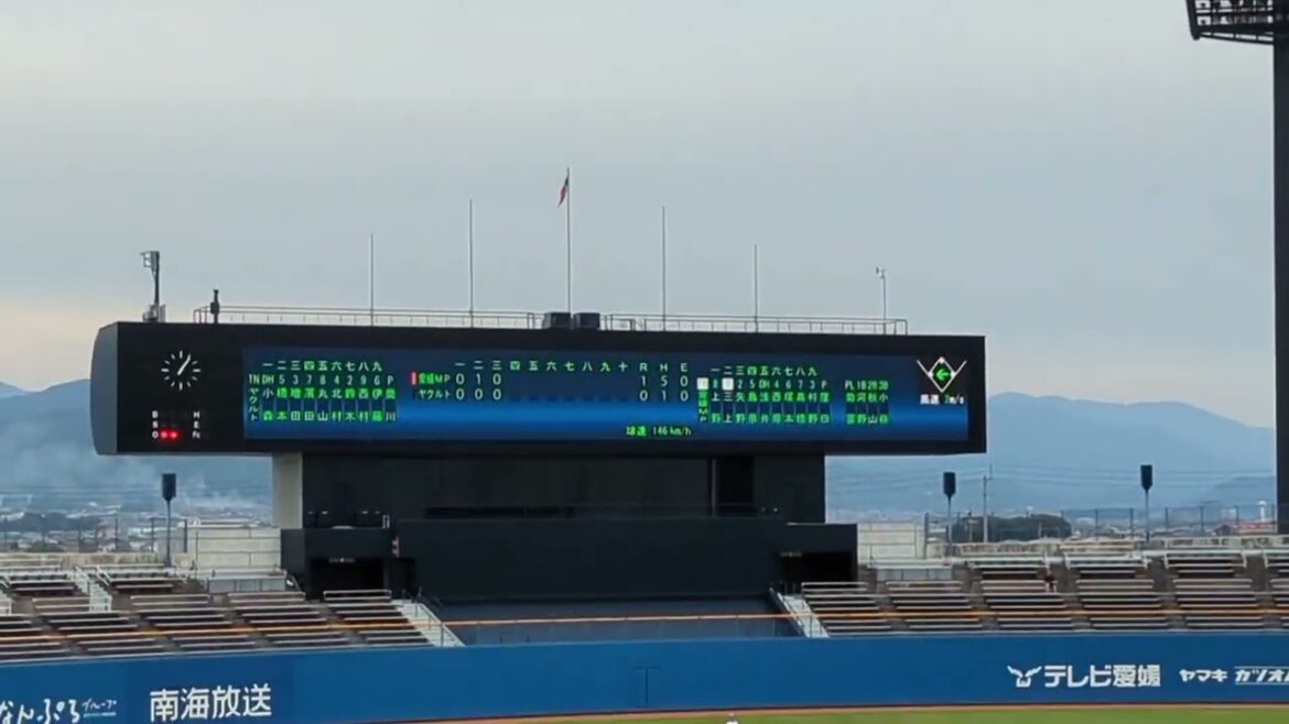 東京ヤクルトスワローズ松山秋季キャンプ2024/11/10【愛媛MP練習試合4】4回奥川投手登板