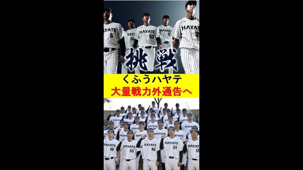 【プロ野球】くふうハヤテ、大量戦力外通告へ#shorts #プロ野球 #野球 #戦力外通告 #くふうハヤテ #npb 【プロ野球】くふうハヤテ、大量戦力外通告へ#shorts #プロ野球 #野球 #戦力外通告 #くふうハヤテ #npb