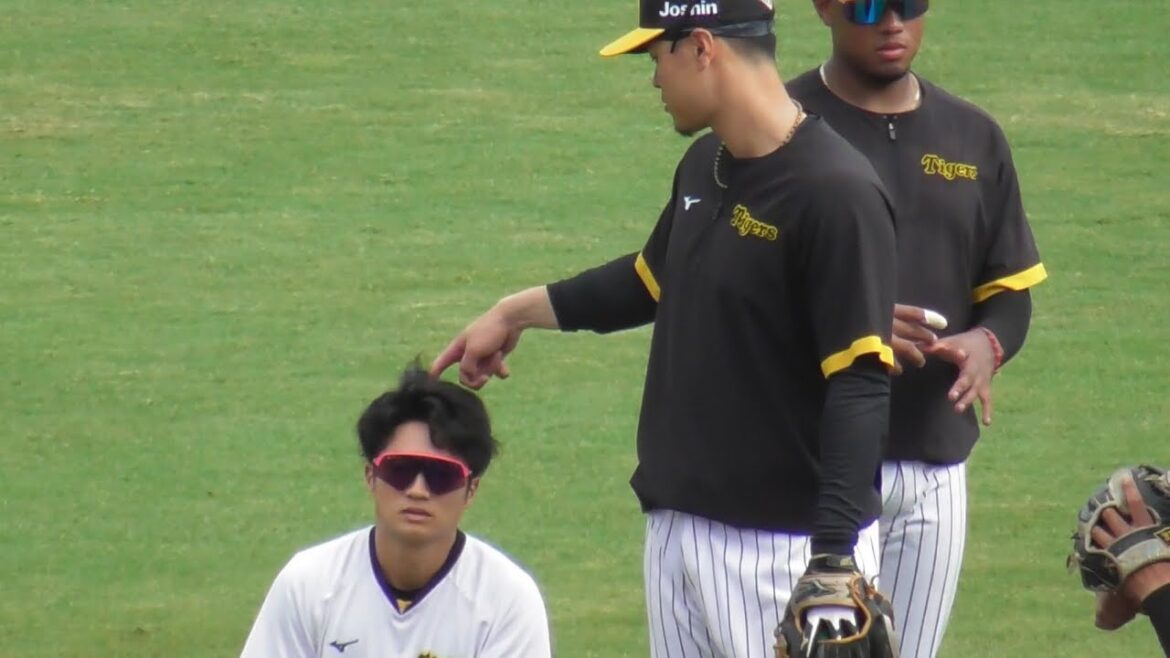 【サトテルのお遊び】佐藤輝明さん、通訳のふわふわな髪の毛に指をぐるぐる回して遊びまくってしまう【阪神秋季キャンプ】