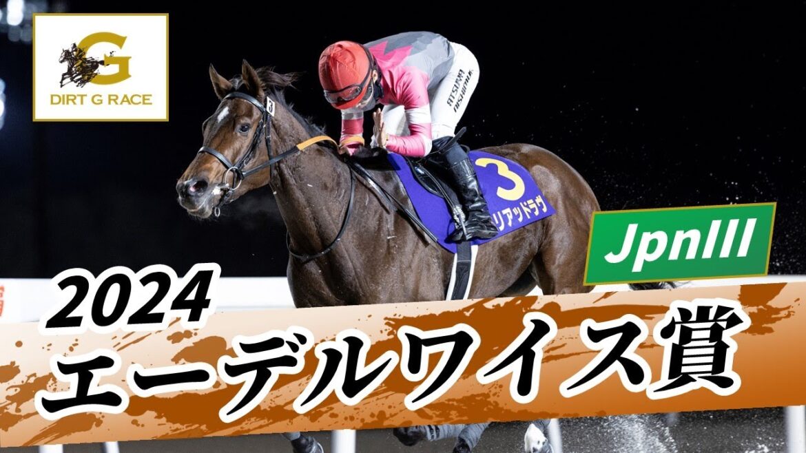 2024年 エーデルワイス賞JpnIII｜第27回｜NAR公式