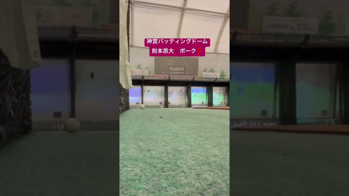 神宮バッティングドーム 則本昂大 ボーク#則本昂大 #バッティングセンター