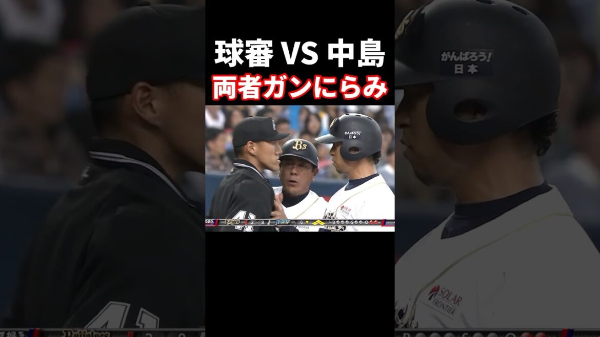 両者もバチバチだご野次が1番やばい #プロ野球