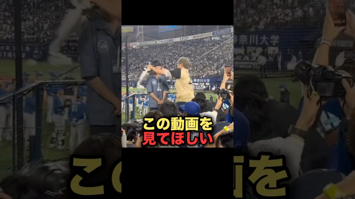 この動画を見てほしい　#北海道日本ハムファイターズ #野球解説 #プロ野球