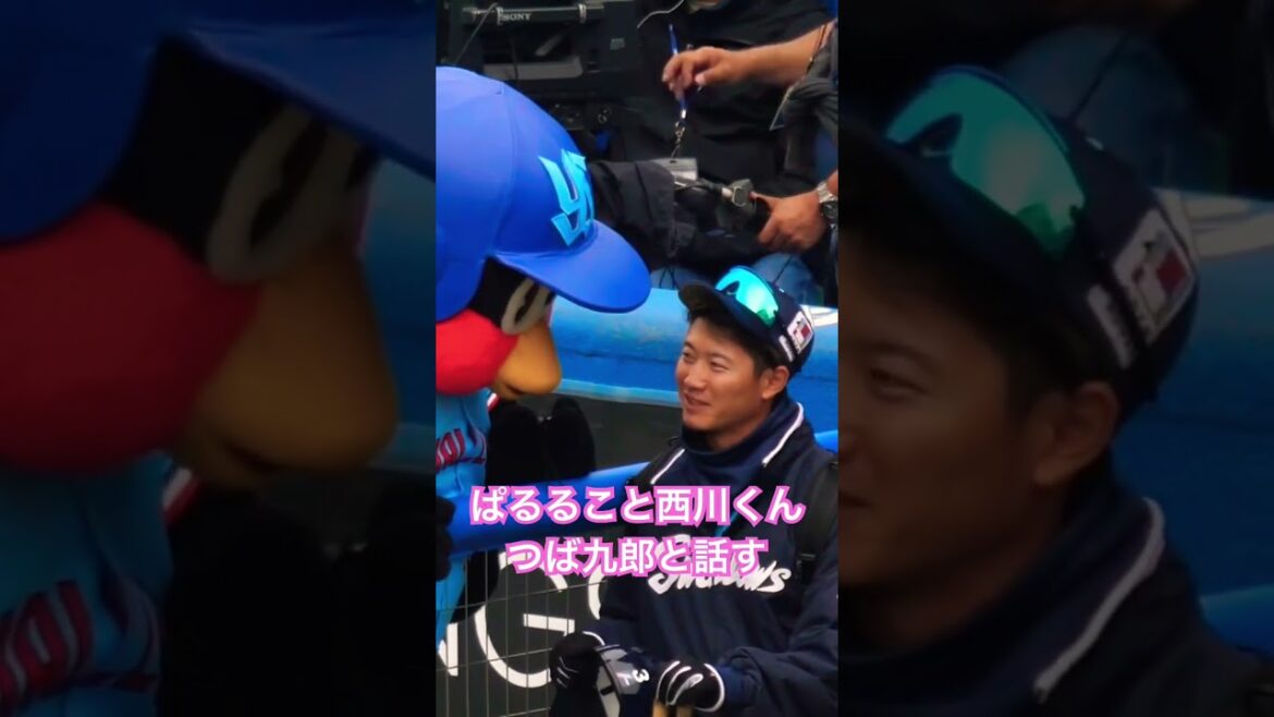 つば九郎　ぱるること西川くんと話す！ #swallows #野球 #つば九郎 #プロ野球 #shorts #西川遥輝