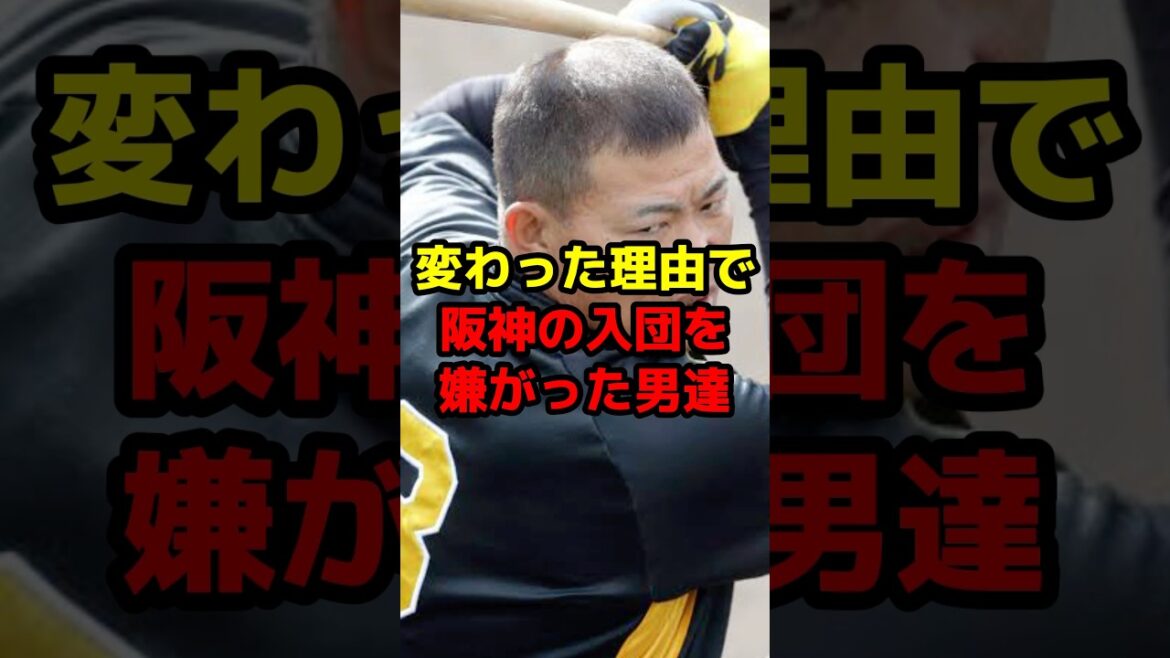 変わった理由で阪神の入団を嫌がった男達#shorts #野球 #野球ネタ #阪神タイガース #ドラフト #fa #理由