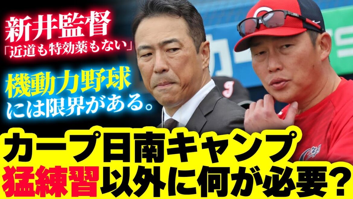 カープ日南キャンプは『厳しい猛練習』以外に何が必要？