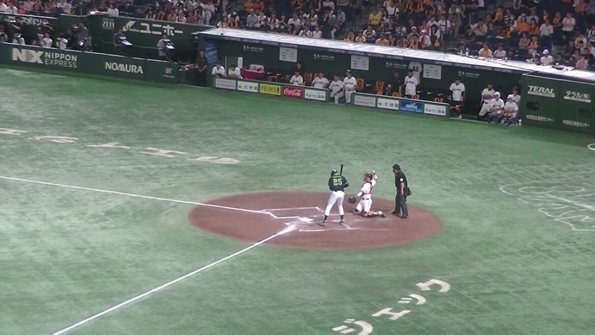 並木秀尊セカンドライナーに打ち取る堀田賢慎（2024年9月14日 読売ジャイアンツ 対 ヤクルトスワローズ）