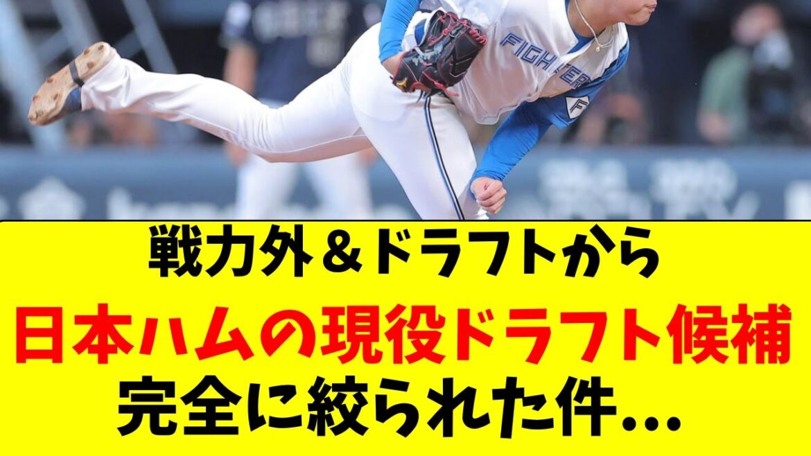 【日ハム】戦力外＆ドラフトで現役ドラフト候補が絞られた件