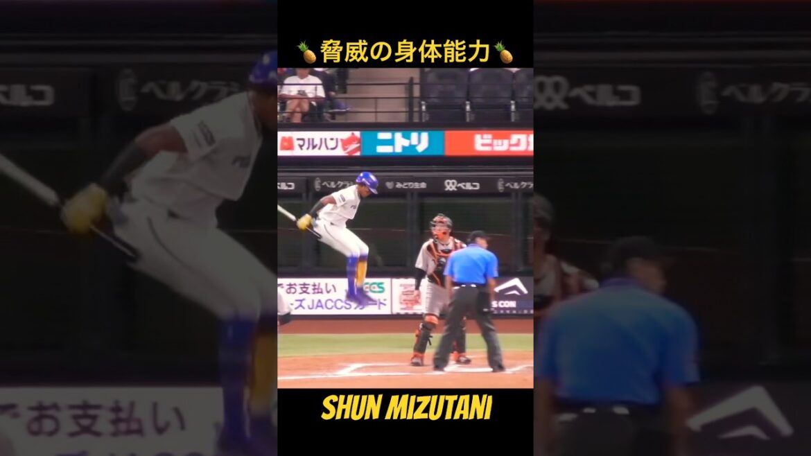 水谷瞬が想像以上に跳んでいた件【パッパ パイナップル！】