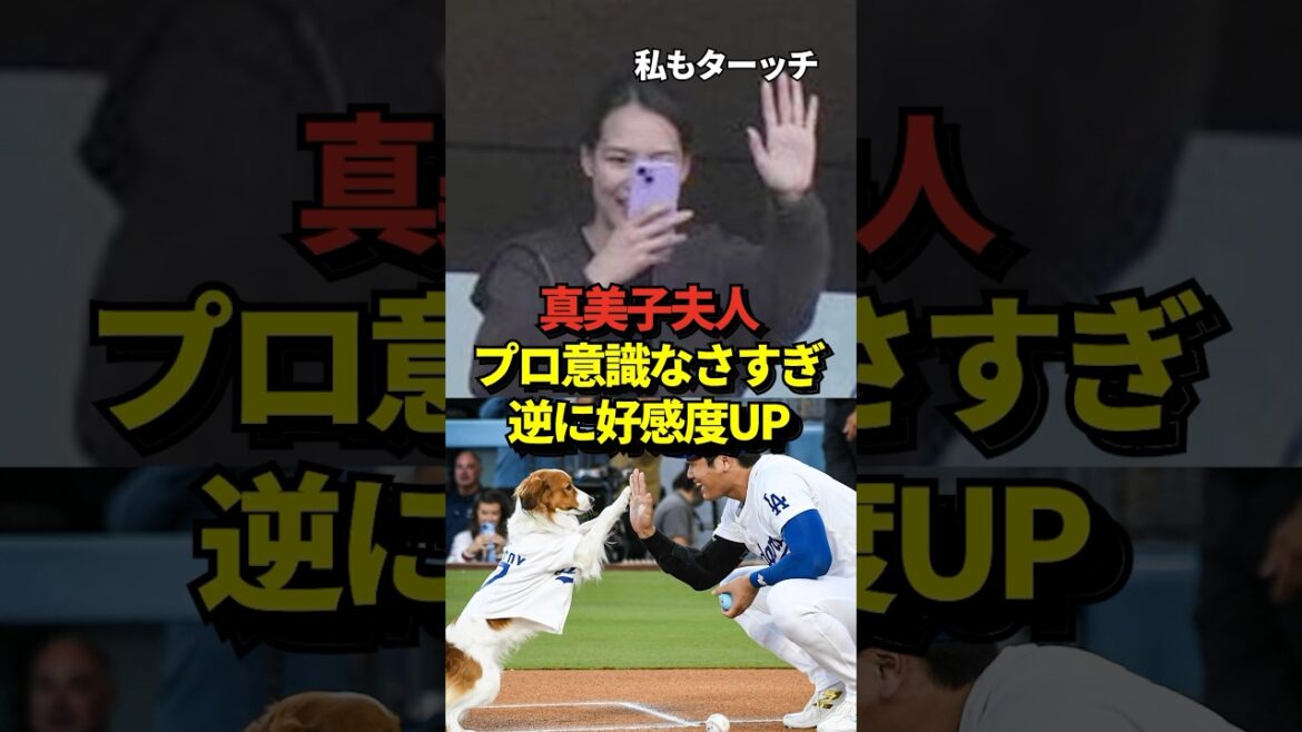 ㊗️188万再生！※証拠あり 真美子夫人にはプロ意識がない？スタジアム観戦時の目撃情報からとんでもない事実が発覚！マジでプロじゃなかったと話題に！#shorts #大谷翔平 #野球