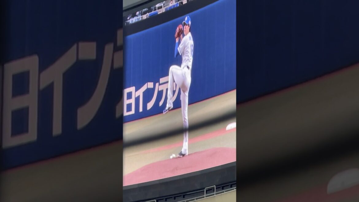 先発は梅津🔥 2-0 勝利🎖️ 2024.5.6ライト外野ドラゴンズ応援 読売戦 #ドラゴンズファンと繋がりたい #阿部 #ライデルマルティネス