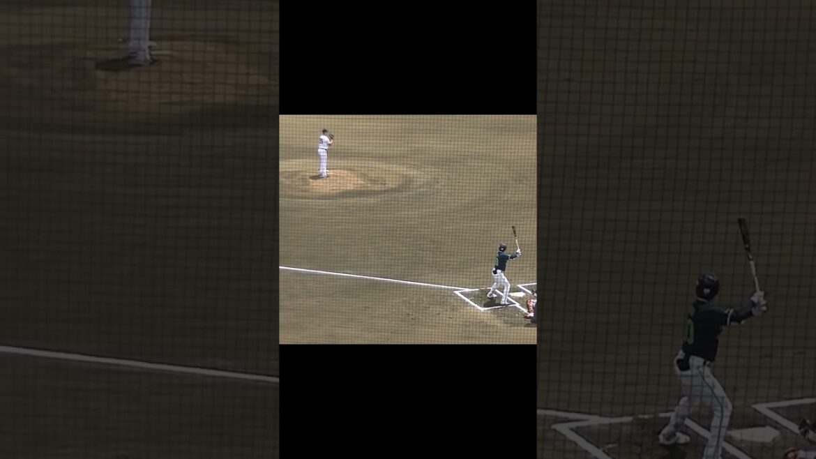 グリフィン 赤羽由紘を148キロで三振（読売ジャイアンツ対 ヤクルトスワローズ2024年5月29日） #グリフィン