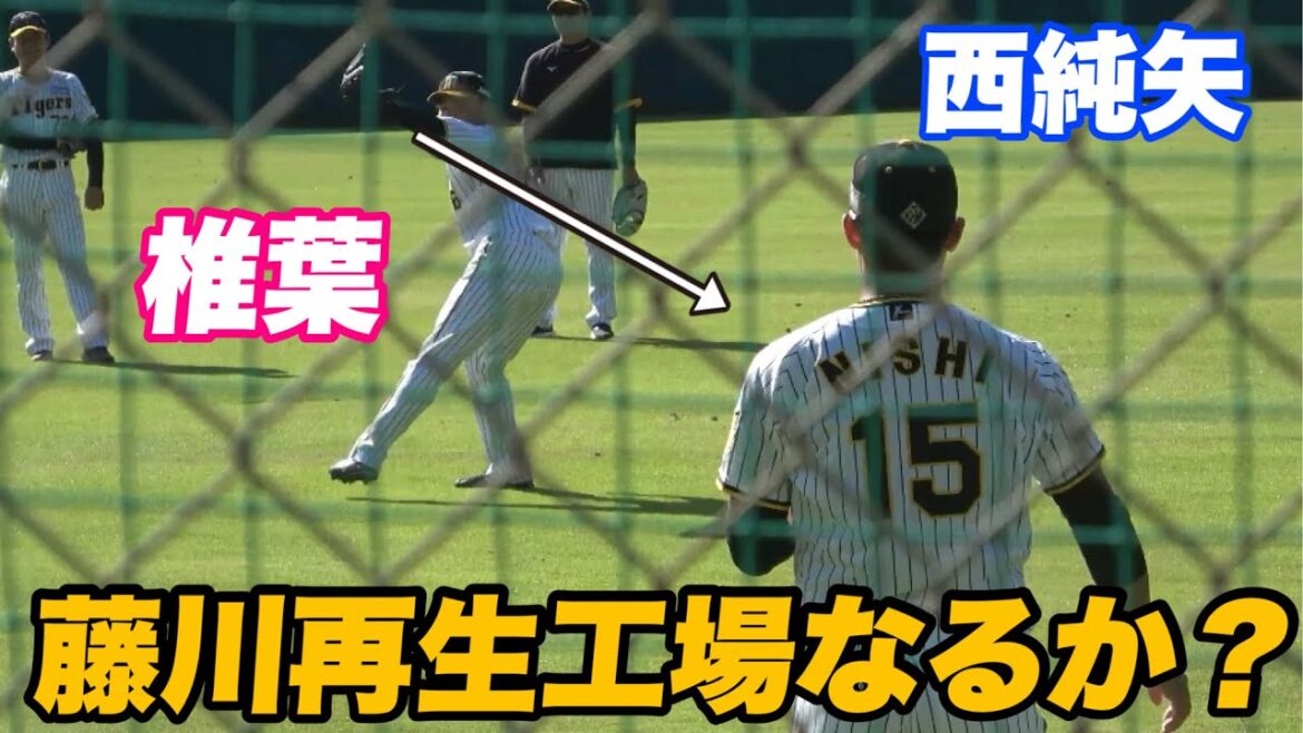【藤川監督の元で覚醒なるか？西純矢 椎葉投手の間近で見る迫力のキャッチボール！】