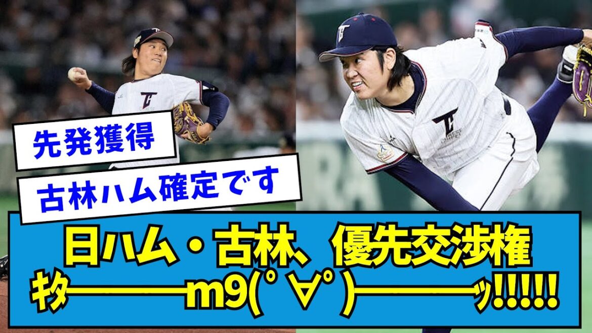 【大型補強】日ハム・古林叡煬、キタ━━━━━m9( ゚∀゚)━━━━━ッ!!!!!【なんJ反応】 【大型補強】日ハム・古林叡煬、キタ━━━━━m9( ゚∀゚)━━━━━ッ!!!!!【なんJ反応】